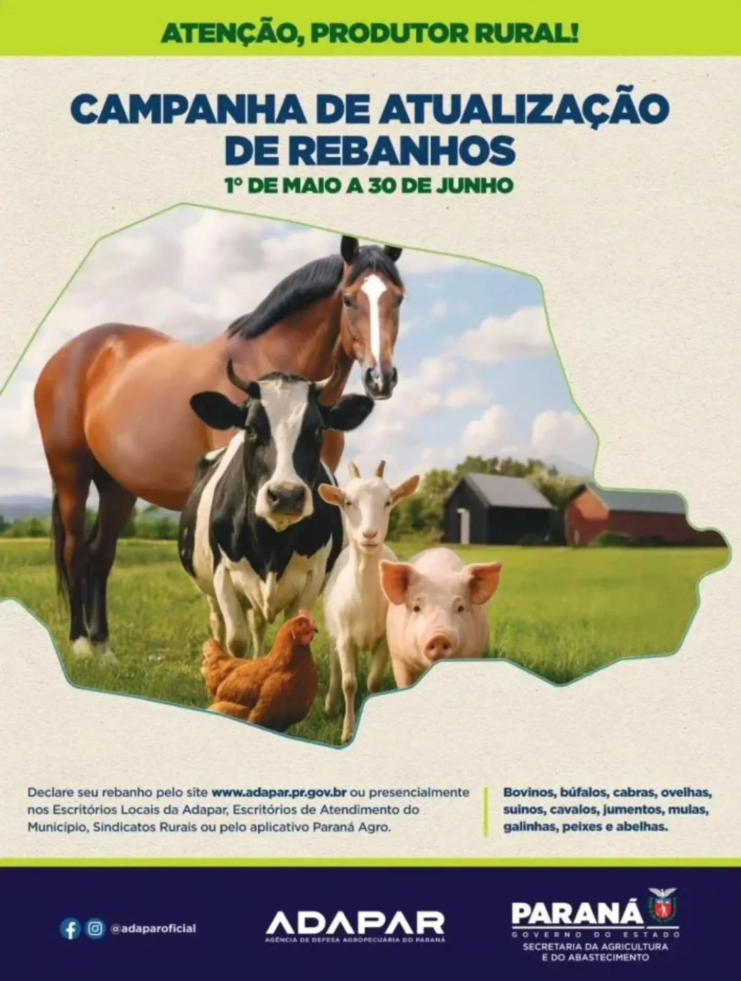 Produtores rurais têm até terça-feira para atualizar cadastro de rebanhos no Paraná 