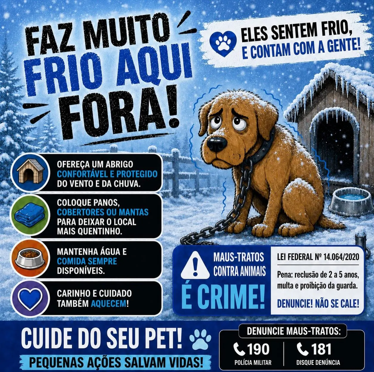 Polícia Militar orienta população sobre cuidados com animais durante onda de frio 