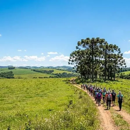 5ª Caminhada na Natureza percorre o Caminho da Erva-Mate em União da Vitória