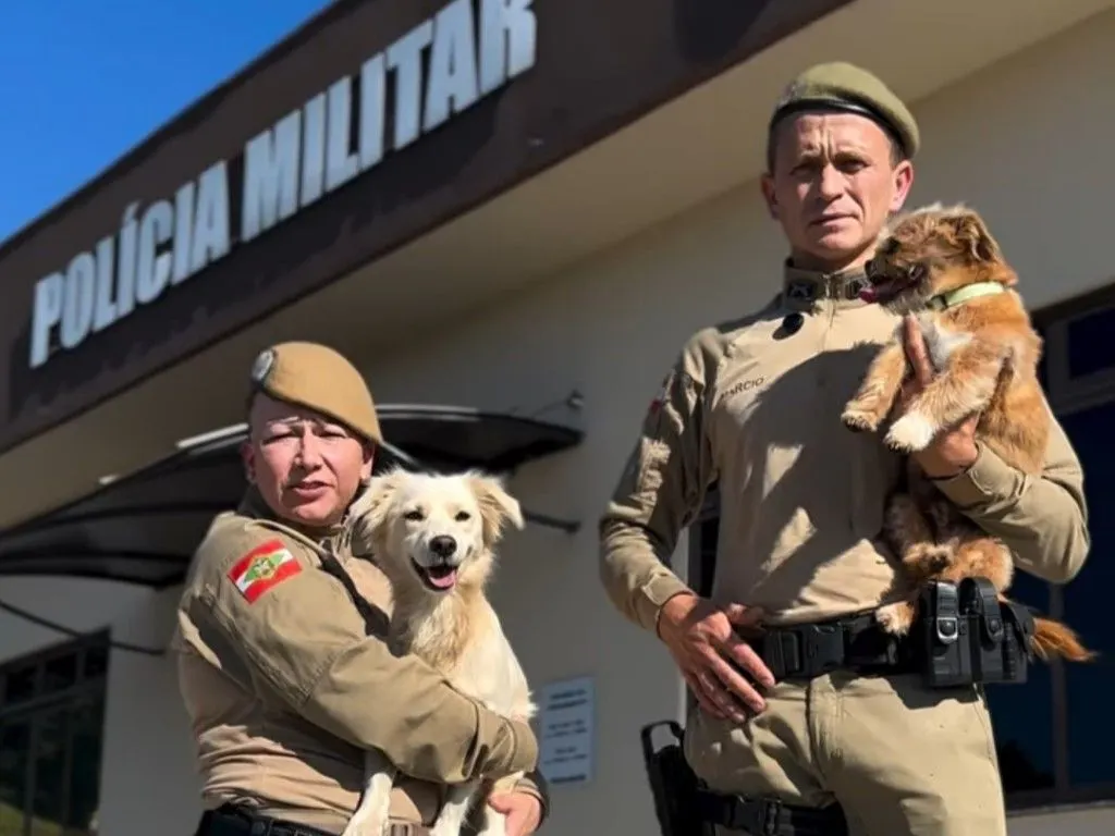 Polícia Militar de Porto União promove campanha de arrecadação de ração