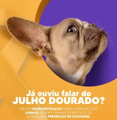 Julho Dourado reforça conscientização sobre proteção e bem-estar animal no Paraná 