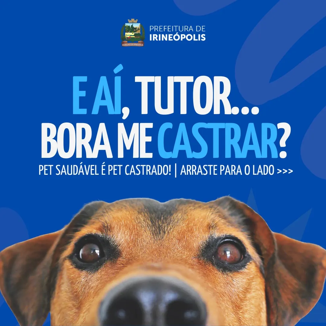 11º Mutirão de Castração será realizado em setembro em Irineópolis 
