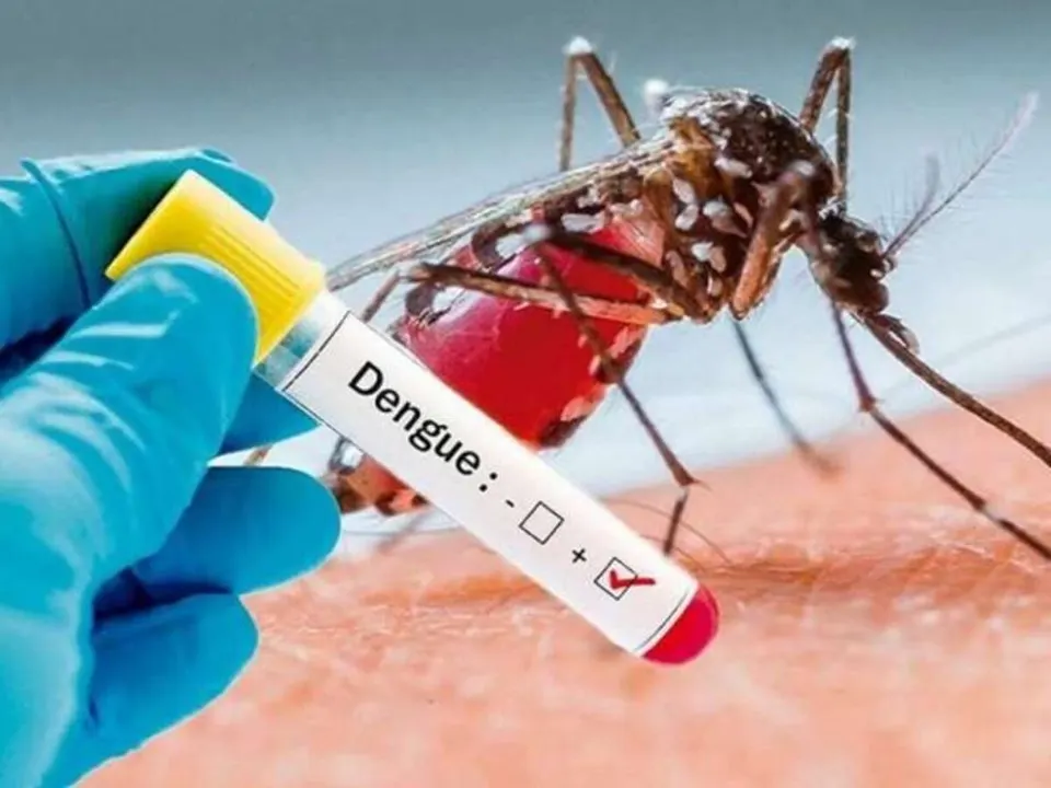 Porto União realiza reunião para reforçar ações de combate à dengue 