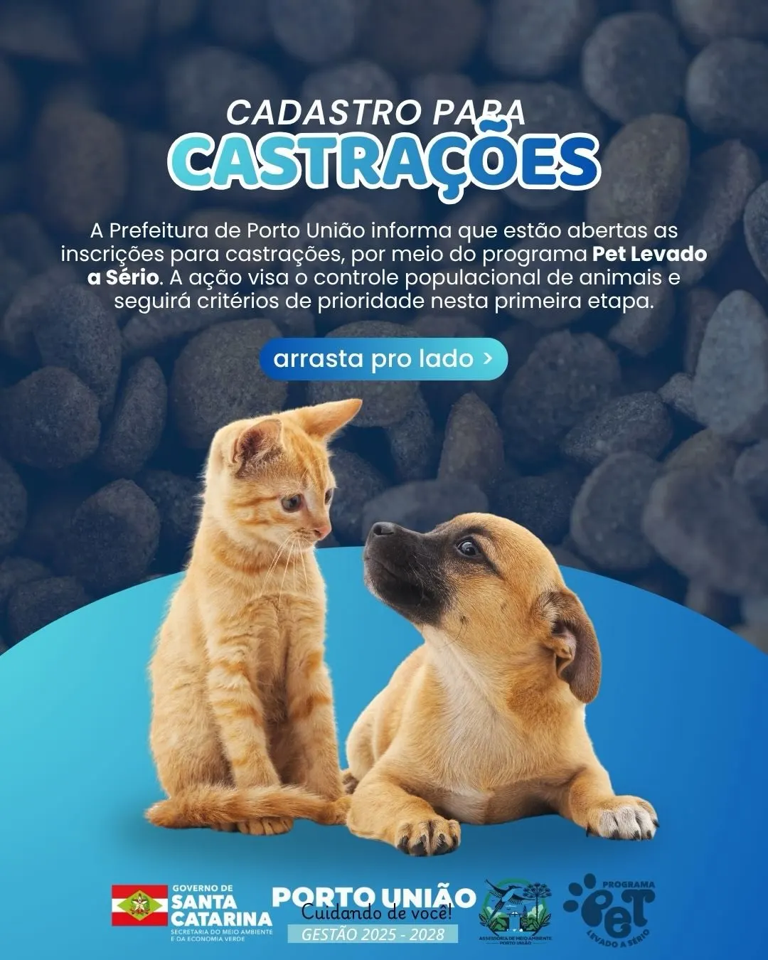 Porto União Abre Cadastro Para Castrações Gratuitas de Animais 