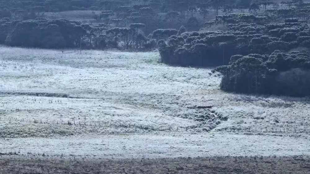 Frio intenso provoca geada e temperaturas negativas na Serra de SC