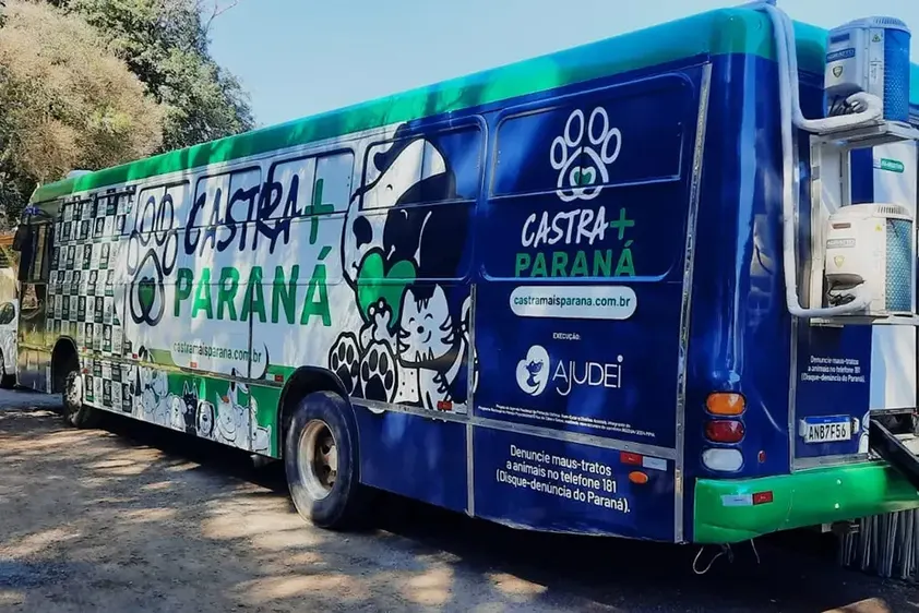 Castração gratuita para cães e gatos será realizada em União da Vitória em maio