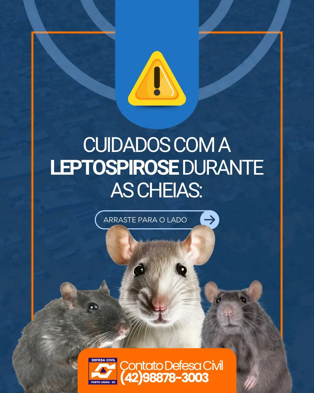 Prefeitura de Porto União alerta para cuidados com a leptospirose durante períodos de enchente 