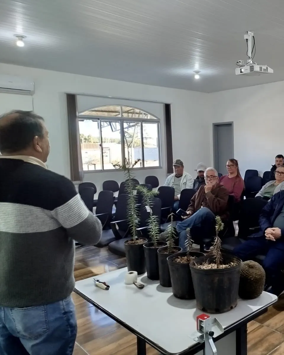 Projeto de Enxertia de Araucária reúne produtores e incentiva preservação ambiental em Cruz Machado 