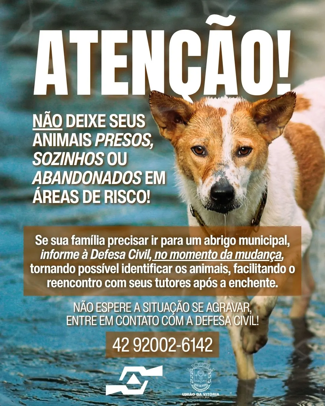 Alerta: famílias em áreas de risco devem cadastrar seus animais 