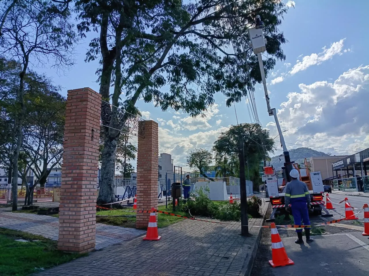 Prefeitura realiza poda preventiva de árvores para reforçar a segurança em União da Vitória 