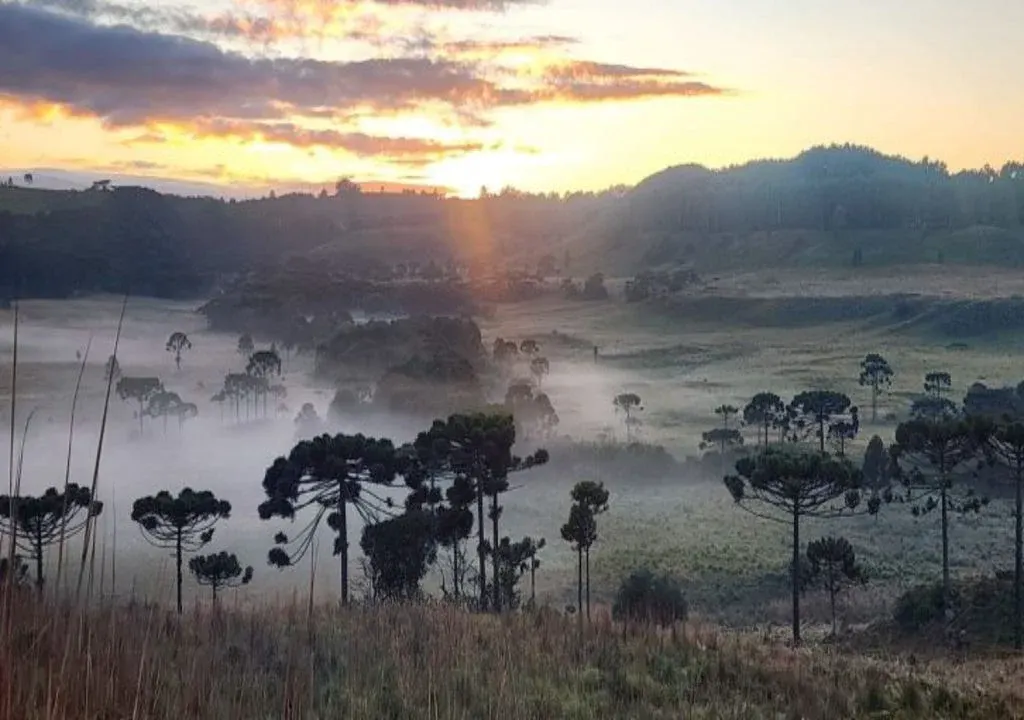 Serra Catarinense registra primeira geada do outono com temperaturas próximas de 3°C