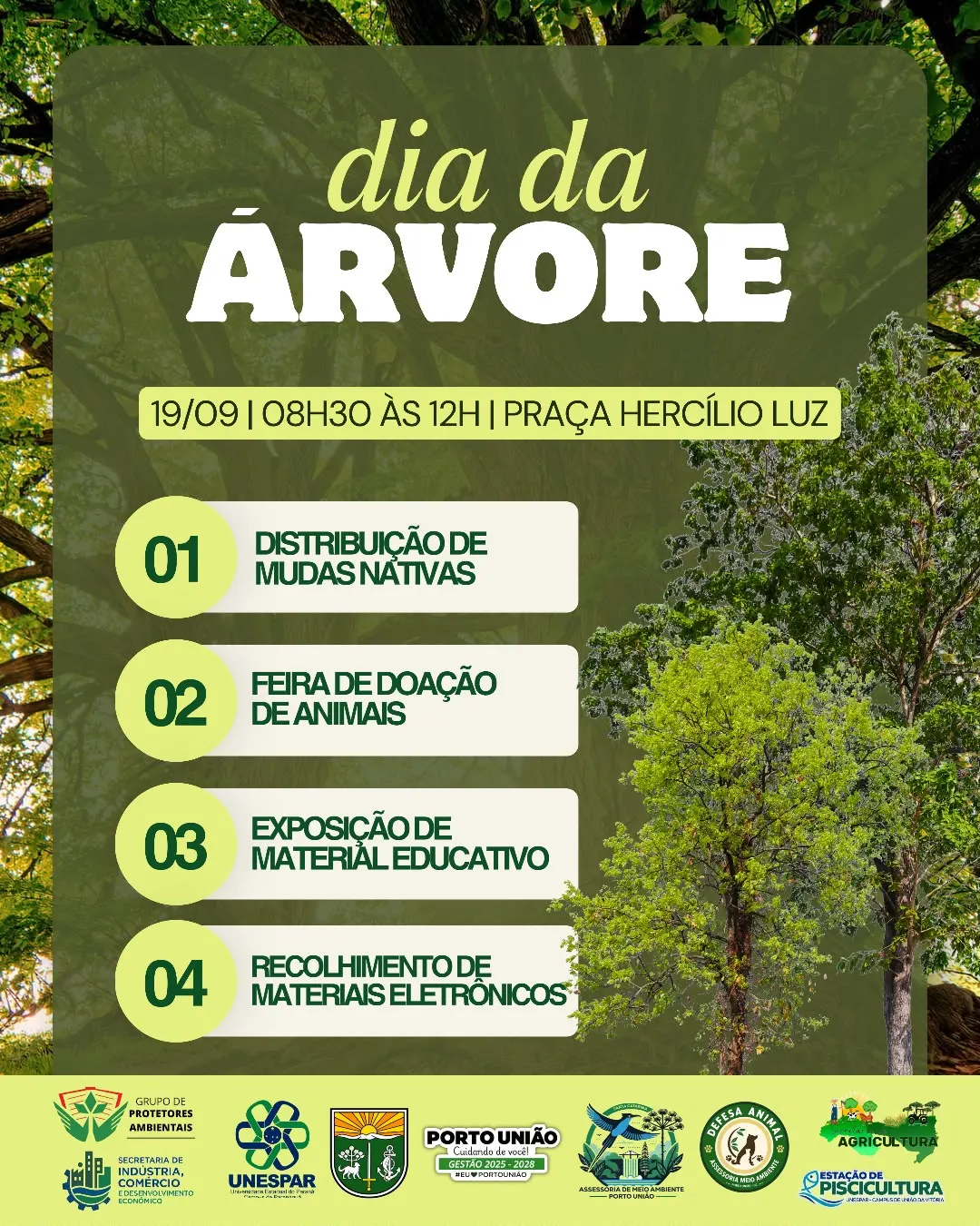 Dia da Árvore terá manhã de ações ambientais na Praça Hercílio Luz