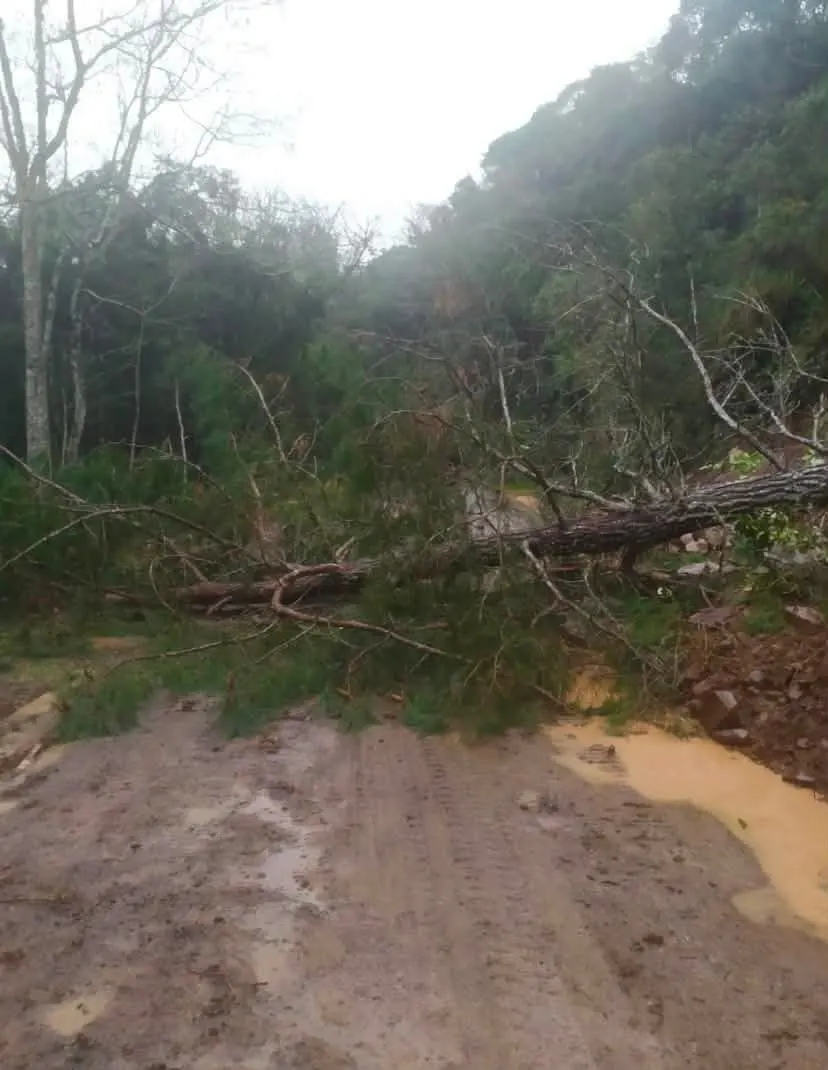 Prefeitura atua na desobstrução da Estrada Linha Bazzoni após deslizamento provocado pelas chuvas