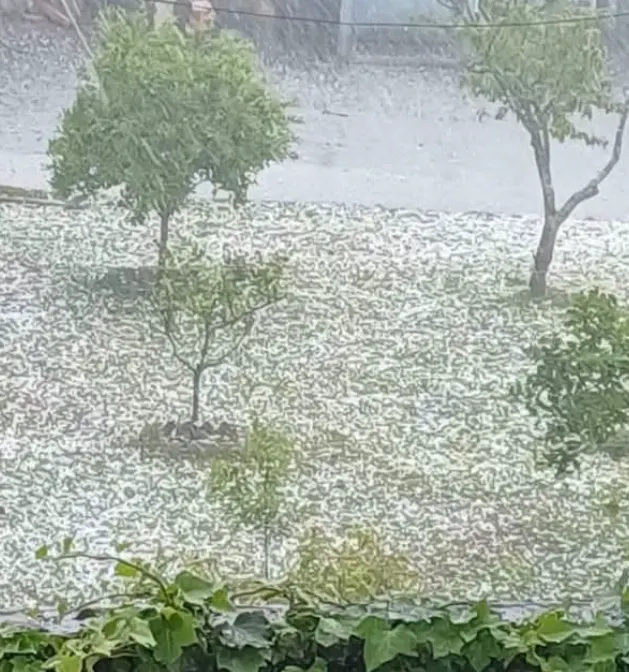 Chuva de granizo atinge municípios da região e provoca danos no interior 